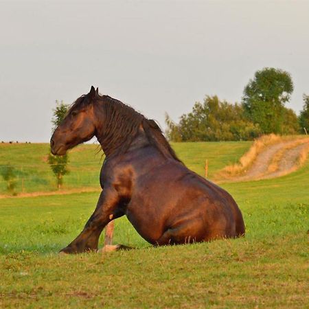Ferienhof Kuerschner Drebach Exteriér fotografie