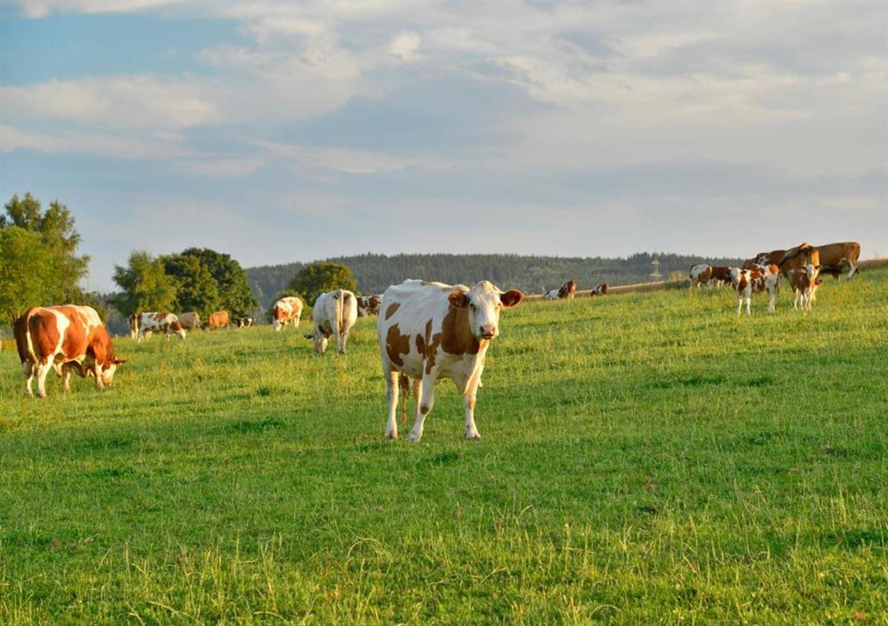 Ferienhof Kuerschner Drebach Exteriér fotografie