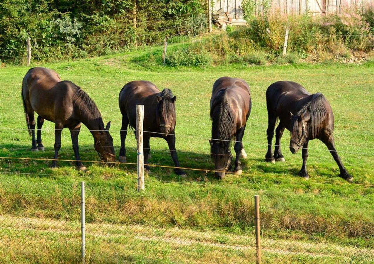 Ferienhof Kuerschner Drebach Exteriér fotografie