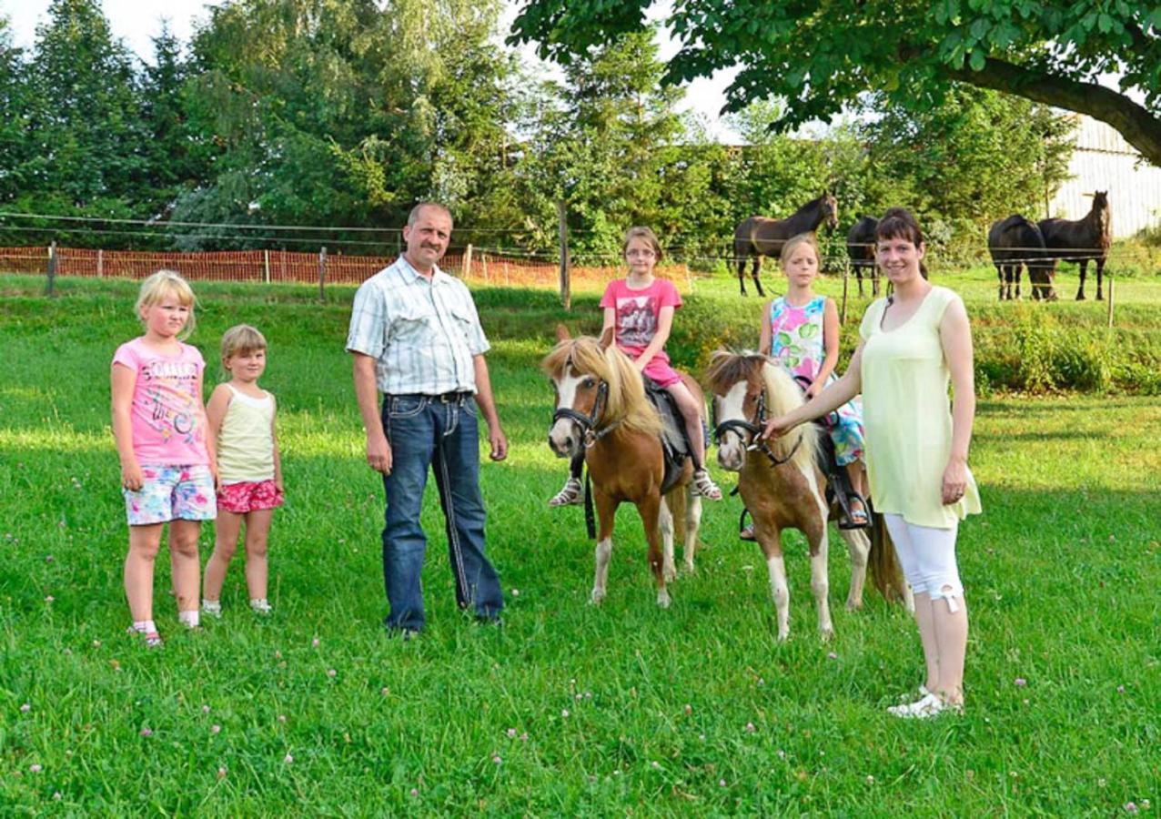 Ferienhof Kuerschner Drebach Exteriér fotografie