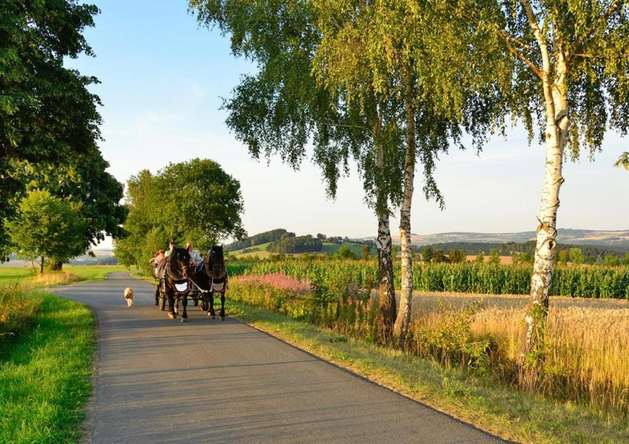 Ferienhof Kuerschner Drebach Exteriér fotografie