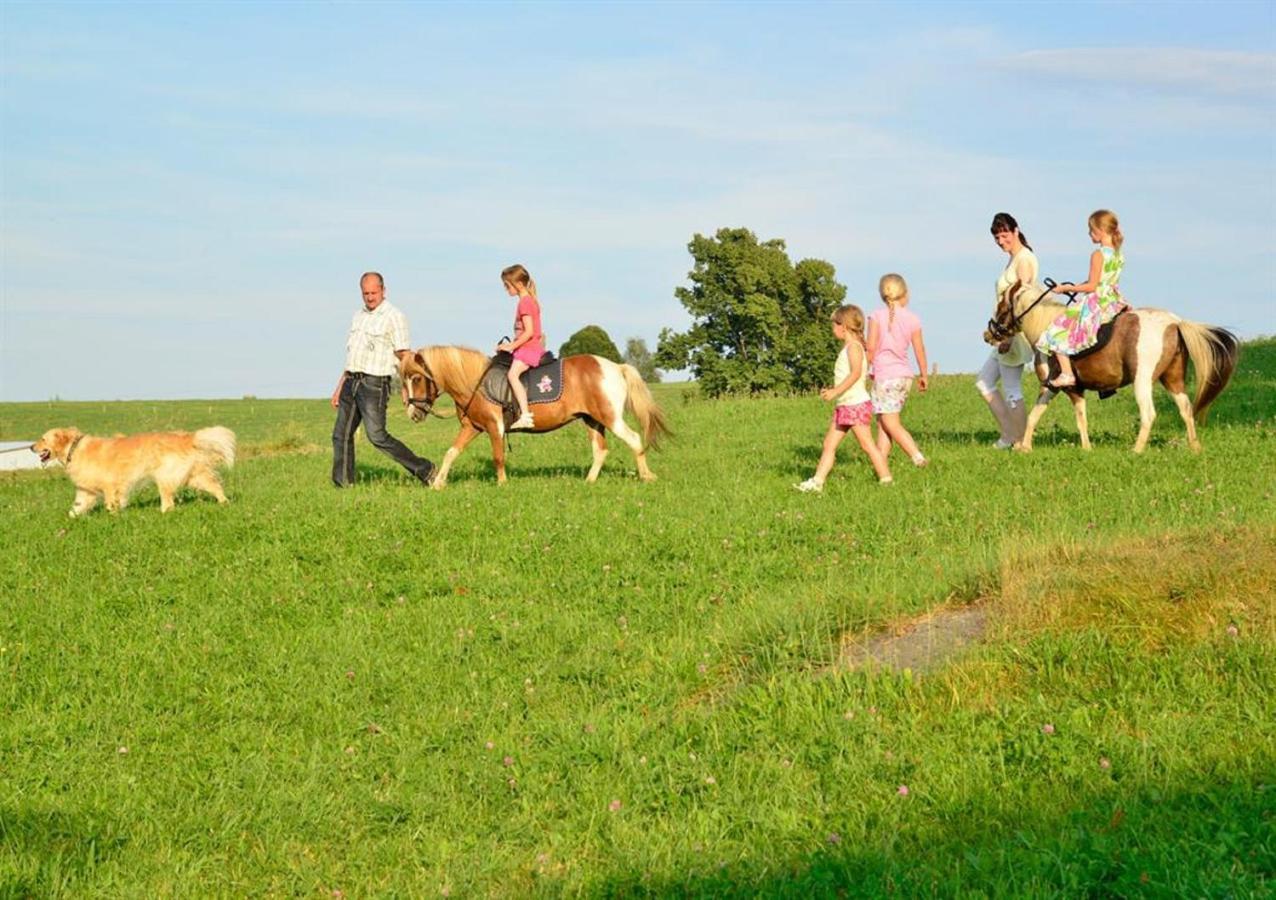 Ferienhof Kuerschner Drebach Exteriér fotografie