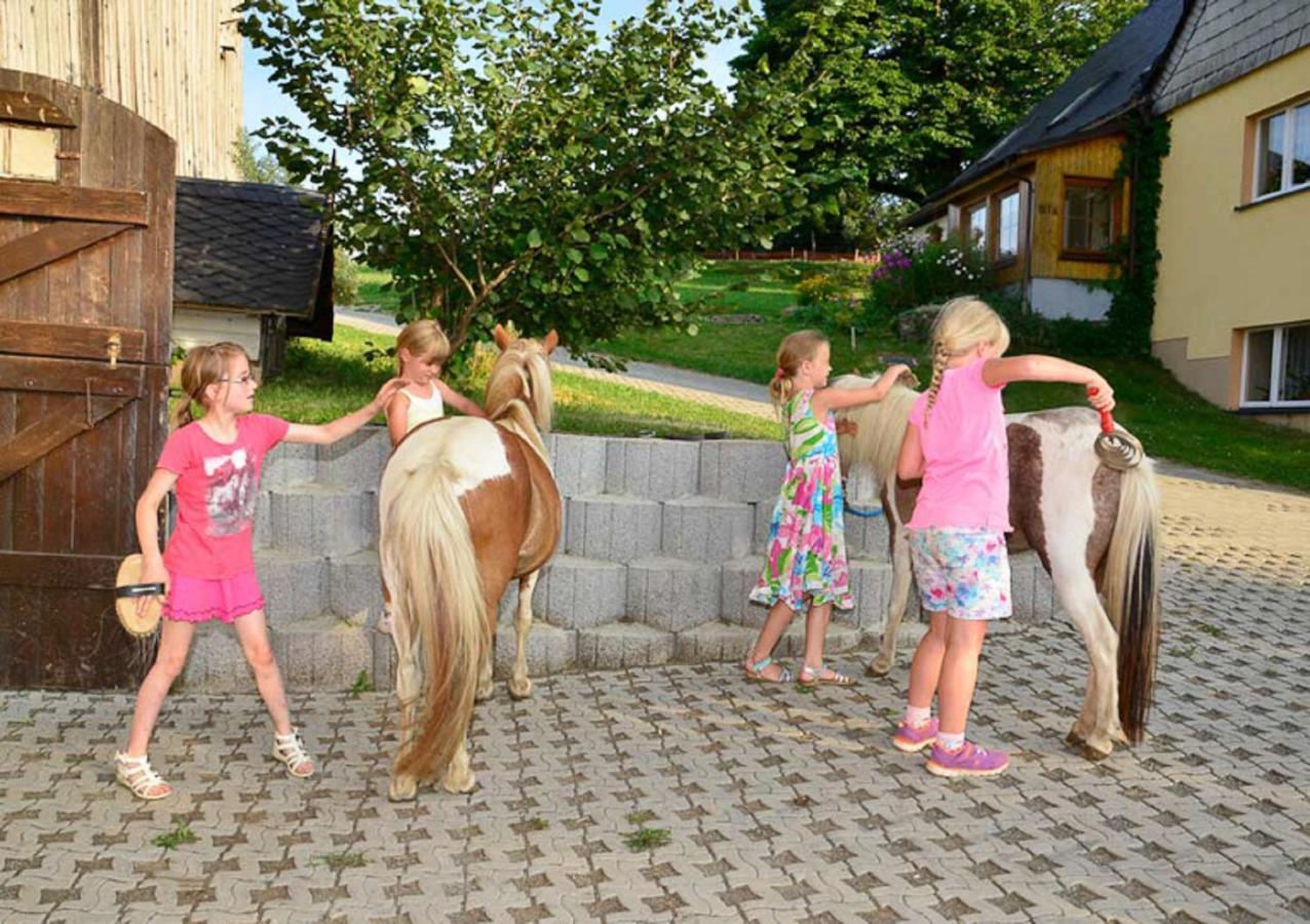 Ferienhof Kuerschner Drebach Exteriér fotografie